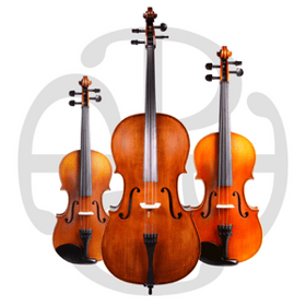 Pegasus Violin with logo